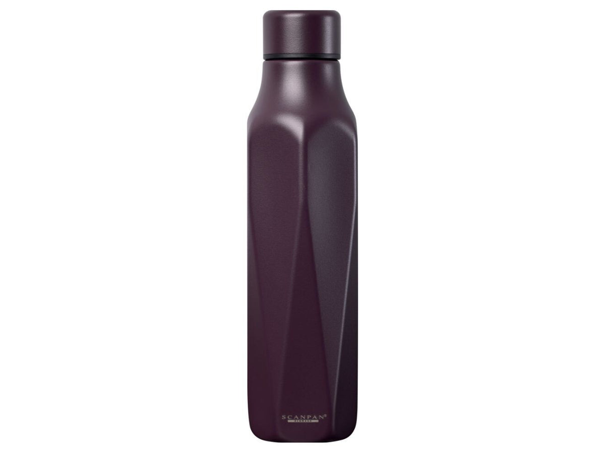 Scanpan RVS drinkfles To Go Explore Plum