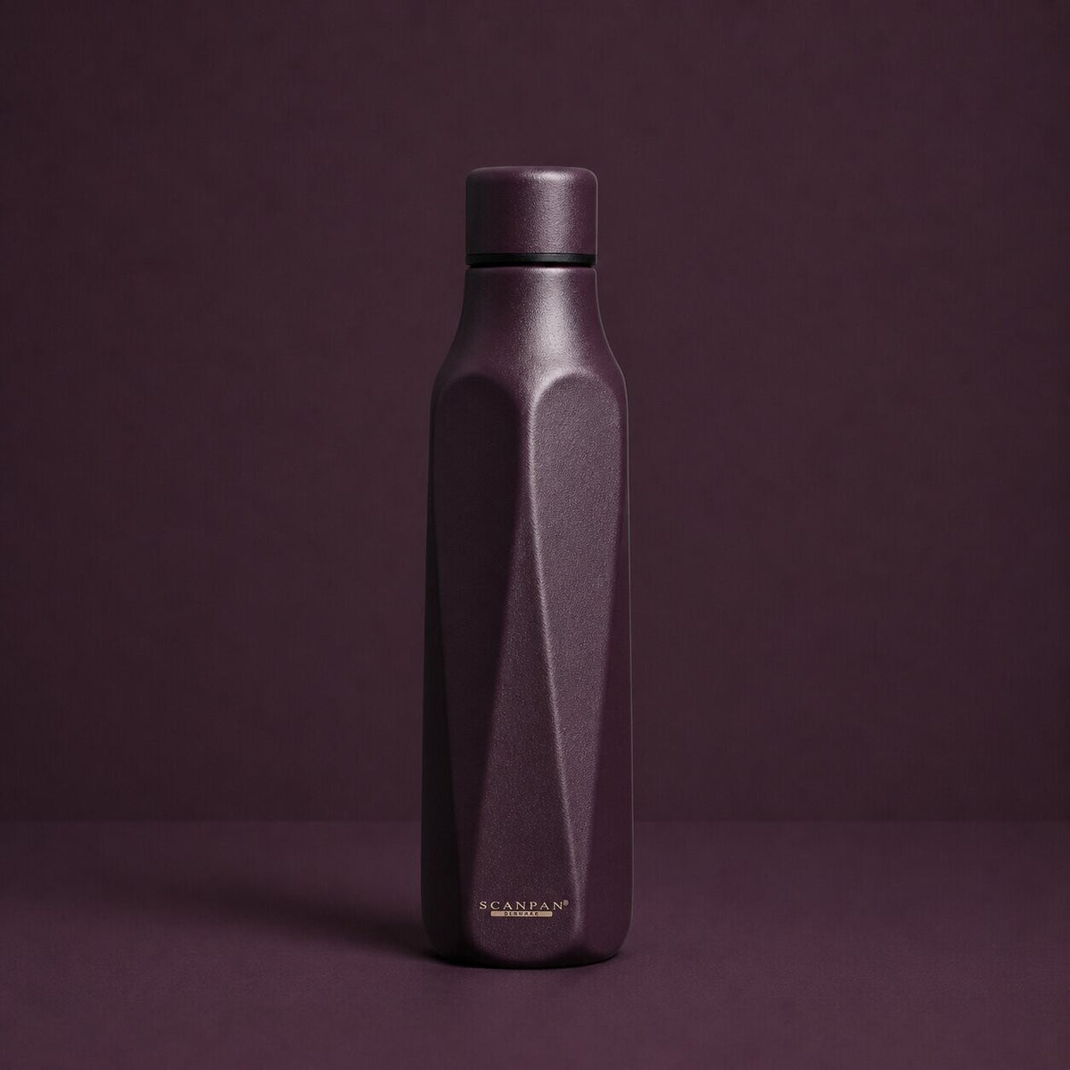 Scanpan RVS drinkfles To Go Explore Plum