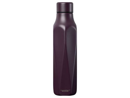 Scanpan RVS drinkfles To Go Explore Plum