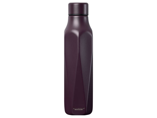 Scanpan RVS drinkfles To Go Explore Plum