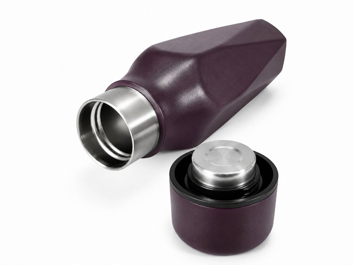 Scanpan RVS drinkfles To Go Explore Plum