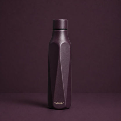 Scanpan RVS drinkfles To Go Explore Plum