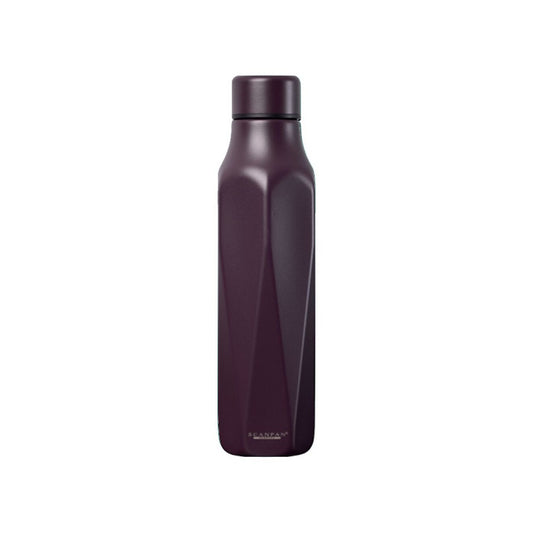 Scanpan RVS drinkfles To Go Explore Plum