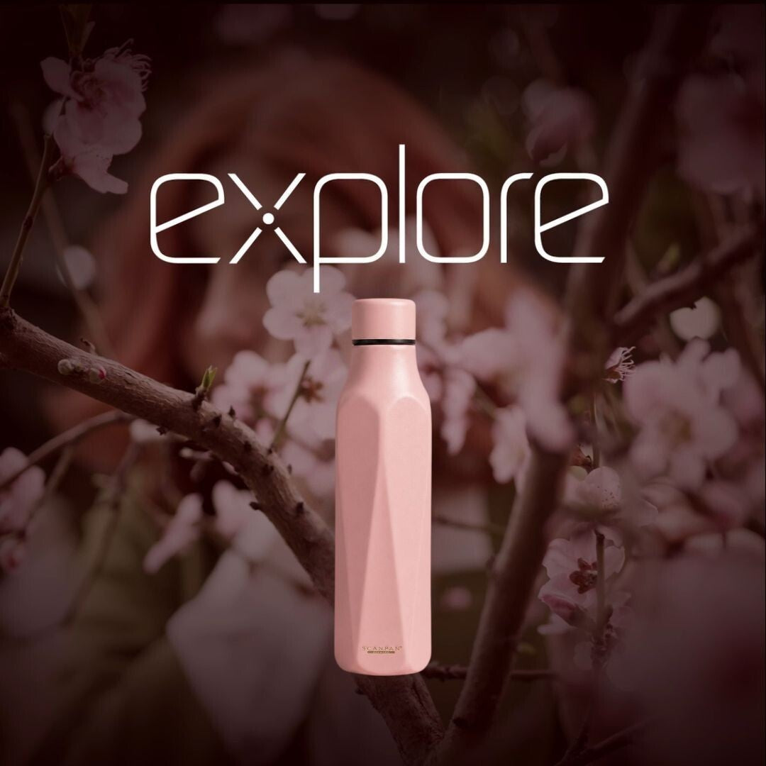 Drinkfles To Go Explore Rose